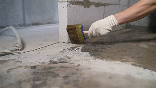 SJ Waterproofing Pros Waterproofing coverage map for Trenton, GA and surrounding area